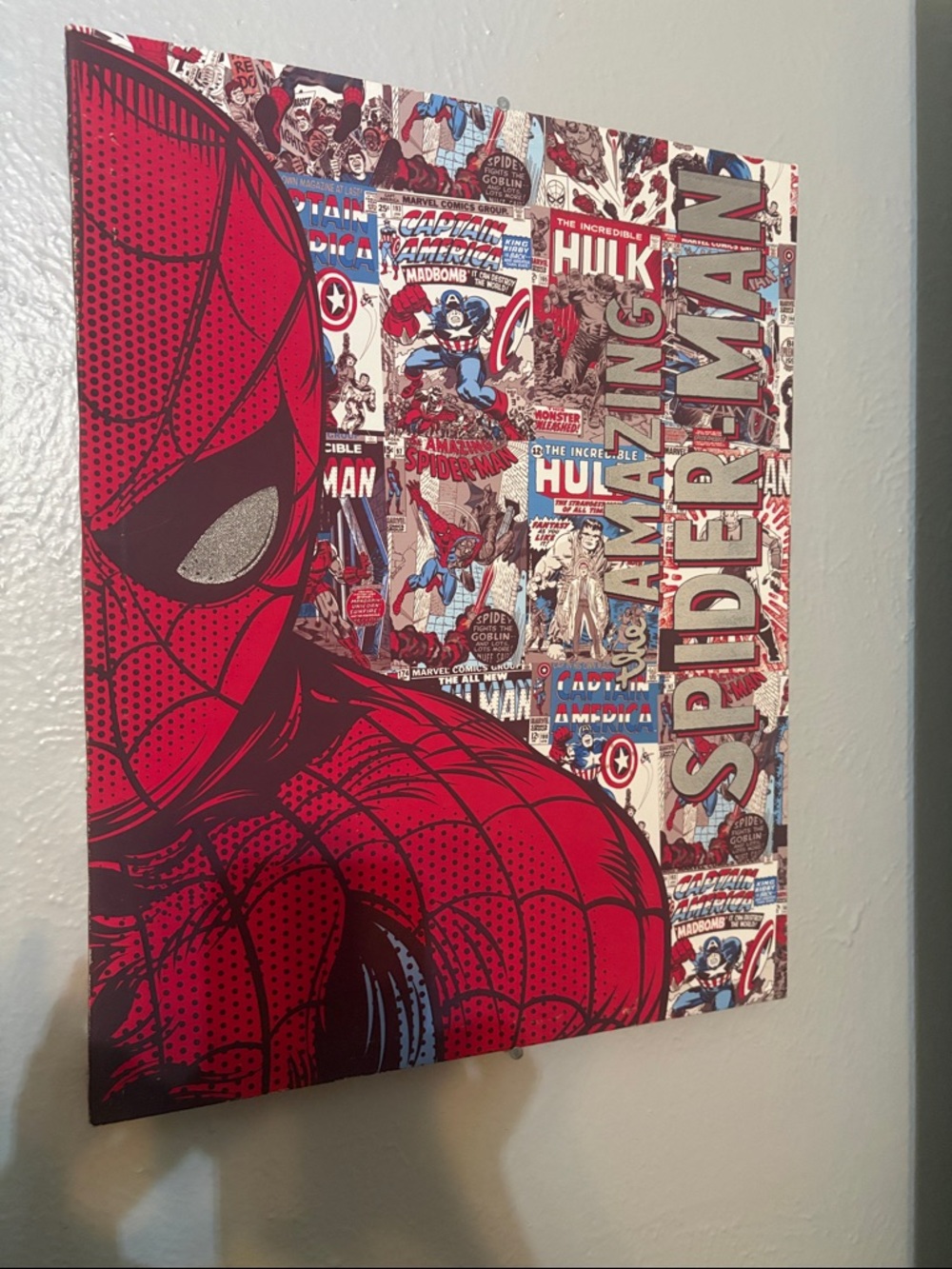 Spider-Man Canvas Photo